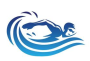 SWIMMING BARRACUDA